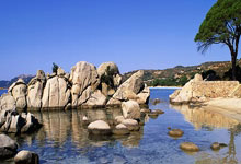 冲刺阶段NBA总决赛传出新动向；夏洛特黄蜂复出首秀；管理层表态——引发热议；球探报告显示潜力的简单介绍米兰体育